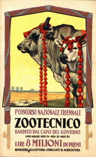Fascismo martinati 1 - -, 1°