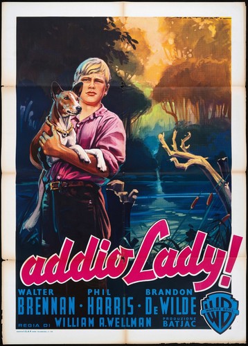 Addio lady manifesto film - addio,