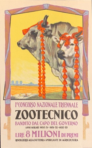 Cartolina concorso - i°,