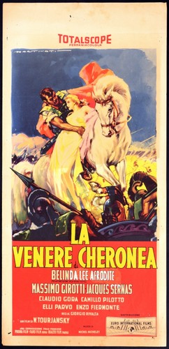 Venere cheronea belinda - cheronea,