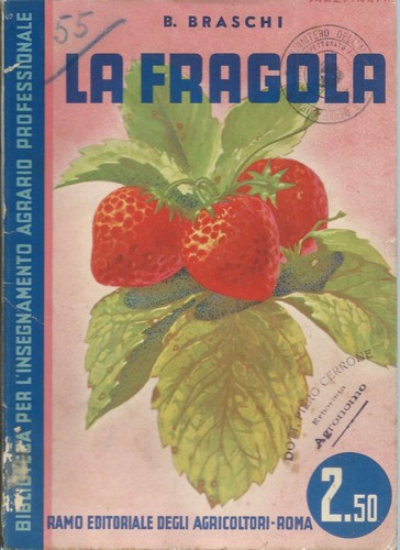 Braschi fragola ramo - ,