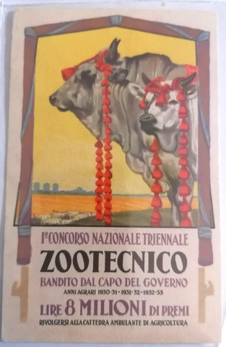 Pubblicitaria illust - pubblicitaria,