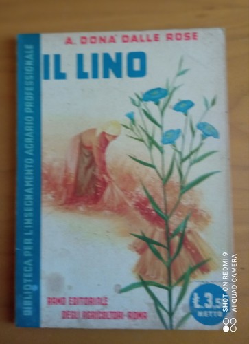 Dona dalle rose - dalle, il
