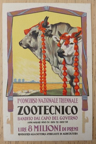 Martinati cartolina - martinati,